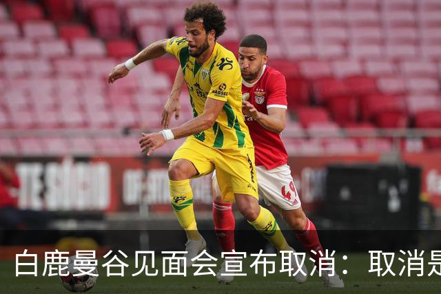 白鹿曼谷见面会宣布取消：取消是对的，但“最后一刻才取消”才是问题